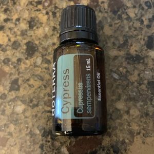 Cypress  Cupressus sempervirens and lusitanica